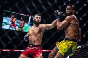 Train Like a Lion: Aslan MMA Training | Ultimate Guide to MMA: Training, Techniques, and Top Fighters in The World