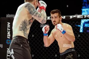 Top 2015 MMA Fights & Highlights | Ultimate Guide to MMA: Training, Techniques, and Top Fighters in The World