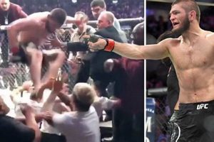 Khabib vs. Dillon Danis: A Rivalry Explored Ultimate Guide to MMA: Training, Techniques, and Top Fighters in The World Khabib vs. Dillon Danis: A Rivalry Explored | Ultimate Guide to MMA: Training, Techniques, and Top Fighters in The World