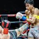 Mastering the Teep Kick for MMA Success | Ultimate Guide to MMA: Training, Techniques, and Top Fighters in The World