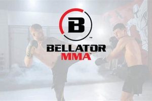 Bellator MMA Fighter Salaries: A Full Breakdown Ultimate Guide to MMA: Training, Techniques, and Top Fighters in The World Bellator MMA Fighter Salaries: A Full Breakdown | Ultimate Guide to MMA: Training, Techniques, and Top Fighters in The World