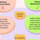 MMA vs. EMA Explained: Which Moving Average Is Best? | Ultimate Guide to MMA: Training, Techniques, and Top Fighters in The World