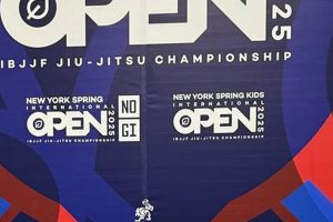 Top NJ United MMA Gyms & Training Ultimate Guide to MMA: Training, Techniques, and Top Fighters in The World Top NJ United MMA Gyms & Training | Ultimate Guide to MMA: Training, Techniques, and Top Fighters in The World