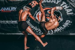 Train at Tiger Muay Thai & MMA in Phuket Ultimate Guide to MMA: Training, Techniques, and Top Fighters in The World Train at Tiger Muay Thai & MMA in Phuket | Ultimate Guide to MMA: Training, Techniques, and Top Fighters in The World