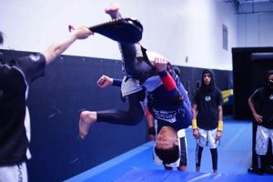 Advanced Parkour MMA Training & Techniques Ultimate Guide to MMA: Training, Techniques, and Top Fighters in The World Advanced Parkour MMA Training & Techniques | Ultimate Guide to MMA: Training, Techniques, and Top Fighters in The World