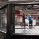 Best MMA Gym & Fitness in Huntington Beach | Ultimate Guide to MMA: Training, Techniques, and Top Fighters in The World