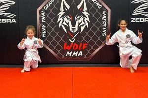 Unleash Your Inner Wolf MMA Fighter | Ultimate Guide to MMA: Training, Techniques, and Top Fighters in The World