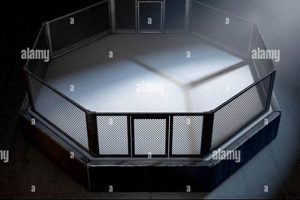 Ultimate MMA Cage Padding Guide & Safety Ultimate Guide to MMA: Training, Techniques, and Top Fighters in The World Ultimate MMA Cage Padding Guide & Safety | Ultimate Guide to MMA: Training, Techniques, and Top Fighters in The World