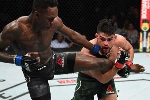 UFC Fight Night: Recent MMA Fights & Results Ultimate Guide to MMA: Training, Techniques, and Top Fighters in The World UFC Fight Night: Recent MMA Fights & Results | Ultimate Guide to MMA: Training, Techniques, and Top Fighters in The World
