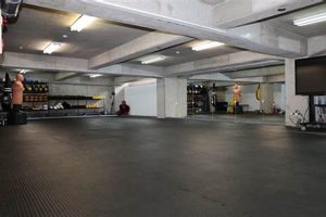 Best MMA Studio: Train Like a Pro Ultimate Guide to MMA: Training, Techniques, and Top Fighters in The World Best MMA Studio: Train Like a Pro | Ultimate Guide to MMA: Training, Techniques, and Top Fighters in The World