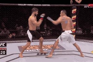 Best MMA GIFs: Highlights & Knockouts | Ultimate Guide to MMA: Training, Techniques, and Top Fighters in The World