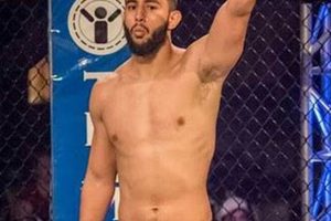 The Dominick Reyes MMA Story: A Fighter's Legacy Ultimate Guide to MMA: Training, Techniques, and Top Fighters in The World The Dominick Reyes MMA Story: A Fighter's Legacy | Ultimate Guide to MMA: Training, Techniques, and Top Fighters in The World