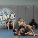 Best Port City MMA Gyms & Training | Ultimate Guide to MMA: Training, Techniques, and Top Fighters in The World