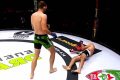 Watch MMA Fighting on YouTube: Top Knockouts & Highlights Ultimate Guide to MMA: Training, Techniques, and Top Fighters in The World Watch MMA Fighting on YouTube: Top Knockouts & Highlights | Ultimate Guide to MMA: Training, Techniques, and Top Fighters in The World