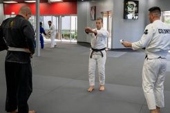 Best MMA Gyms & Training in Tempe, AZ Ultimate Guide to MMA: Training, Techniques, and Top Fighters in The World Best MMA Gyms & Training in Tempe, AZ | Ultimate Guide to MMA: Training, Techniques, and Top Fighters in The World