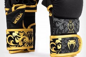 Best 8 Ounce MMA Gloves for 2024 Ultimate Guide to MMA: Training, Techniques, and Top Fighters in The World Best 8 Ounce MMA Gloves for 2024 | Ultimate Guide to MMA: Training, Techniques, and Top Fighters in The World