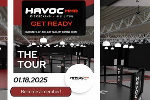 Unleash Havoc MMA: Dominate the Cage Ultimate Guide to MMA: Training, Techniques, and Top Fighters in The World Unleash Havoc MMA: Dominate the Cage | Ultimate Guide to MMA: Training, Techniques, and Top Fighters in The World