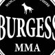 Train at Burgess MMA: Top MMA Gym | Ultimate Guide to MMA: Training, Techniques, and Top Fighters in The World