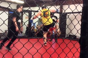 Outfox Mma Ultimate Guide to MMA: Training, Techniques, and Top Fighters in The World Outfox Mma | Ultimate Guide to MMA: Training, Techniques, and Top Fighters in The World