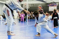 Train Elite MMA in Baytown, TX | Top Gym Ultimate Guide to MMA: Training, Techniques, and Top Fighters in The World Train Elite MMA in Baytown, TX | Top Gym | Ultimate Guide to MMA: Training, Techniques, and Top Fighters in The World
