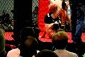 Top MMA Fights & Events in Michigan Ultimate Guide to MMA: Training, Techniques, and Top Fighters in The World Top MMA Fights & Events in Michigan | Ultimate Guide to MMA: Training, Techniques, and Top Fighters in The World
