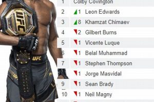 Top MMA Welterweight Rankings & Analysis | Ultimate Guide to MMA: Training, Techniques, and Top Fighters in The World