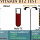 MMA Test & Vitamin B12 Deficiency: A Guide | Ultimate Guide to MMA: Training, Techniques, and Top Fighters in The World