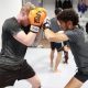 Top MMA Gyms & Training in Gainesville, FL | Ultimate Guide to MMA: Training, Techniques, and Top Fighters in The World