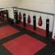 Top Level Mma Niles | Ultimate Guide to MMA: Training, Techniques, and Top Fighters in The World