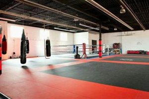 Best MMA Gym & Fitness in Savannah GA Ultimate Guide to MMA: Training, Techniques, and Top Fighters in The World Best MMA Gym & Fitness in Savannah GA | Ultimate Guide to MMA: Training, Techniques, and Top Fighters in The World