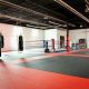 Best MMA Gym & Fitness in Savannah GA | Ultimate Guide to MMA: Training, Techniques, and Top Fighters in The World