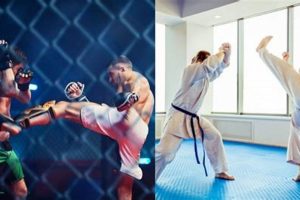 Ultimate Karate vs. MMA Showdown: Which Reigns Supreme? Ultimate Guide to MMA: Training, Techniques, and Top Fighters in The World Ultimate Karate vs. MMA Showdown: Which Reigns Supreme? | Ultimate Guide to MMA: Training, Techniques, and Top Fighters in The World