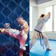 Ultimate Karate vs. MMA Showdown: Which Reigns Supreme? | Ultimate Guide to MMA: Training, Techniques, and Top Fighters in The World