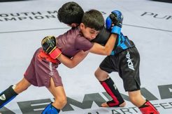 Mas Youth Mma Ultimate Guide to MMA: Training, Techniques, and Top Fighters in The World Mas Youth Mma | Ultimate Guide to MMA: Training, Techniques, and Top Fighters in The World