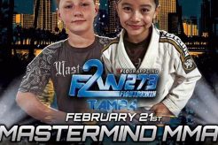 The Mastermind MMA Blueprint: Dominate the Cage Ultimate Guide to MMA: Training, Techniques, and Top Fighters in The World The Mastermind MMA Blueprint: Dominate the Cage | Ultimate Guide to MMA: Training, Techniques, and Top Fighters in The World