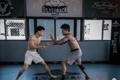 MMA Silver Medal: A Fighter's Journey Ultimate Guide to MMA: Training, Techniques, and Top Fighters in The World MMA Silver Medal: A Fighter's Journey | Ultimate Guide to MMA: Training, Techniques, and Top Fighters in The World