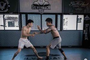 MMA Silver Medal: A Fighter's Journey | Ultimate Guide to MMA: Training, Techniques, and Top Fighters in The World