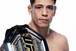 Brandon Moreno Mma Ultimate Guide to MMA: Training, Techniques, and Top Fighters in The World Brandon Moreno Mma | Ultimate Guide to MMA: Training, Techniques, and Top Fighters in The World