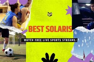 Find the Best Solaris MMA Gyms & Gear | Ultimate Guide to MMA: Training, Techniques, and Top Fighters in The World