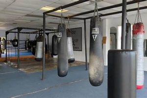 Best MMA Gym & Fitness in Baton Rouge Ultimate Guide to MMA: Training, Techniques, and Top Fighters in The World Best MMA Gym & Fitness in Baton Rouge | Ultimate Guide to MMA: Training, Techniques, and Top Fighters in The World