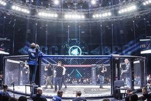The Ultimate Guide to Stadium MMA Events | Ultimate Guide to MMA: Training, Techniques, and Top Fighters in The World
