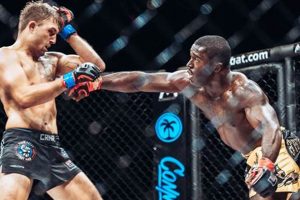 Ultimate MMA Fights: Techniques & Highlights Ultimate Guide to MMA: Training, Techniques, and Top Fighters in The World Ultimate MMA Fights: Techniques & Highlights | Ultimate Guide to MMA: Training, Techniques, and Top Fighters in The World