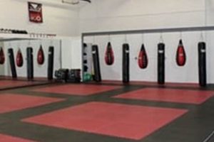 Best MMA Training Center: Learn & Grow Ultimate Guide to MMA: Training, Techniques, and Top Fighters in The World Best MMA Training Center: Learn & Grow | Ultimate Guide to MMA: Training, Techniques, and Top Fighters in The World