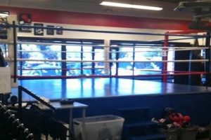 Top MMA Gyms in Orange County, CA Ultimate Guide to MMA: Training, Techniques, and Top Fighters in The World Top MMA Gyms in Orange County, CA | Ultimate Guide to MMA: Training, Techniques, and Top Fighters in The World