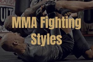 Types Of Mma | Ultimate Guide to MMA: Training, Techniques, and Top Fighters in The World