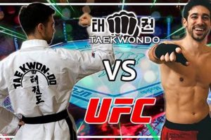 Ultimate Taekwondo MMA Fusion Guide Ultimate Guide to MMA: Training, Techniques, and Top Fighters in The World Ultimate Taekwondo MMA Fusion Guide | Ultimate Guide to MMA: Training, Techniques, and Top Fighters in The World