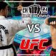 Ultimate Taekwondo MMA Fusion Guide | Ultimate Guide to MMA: Training, Techniques, and Top Fighters in The World