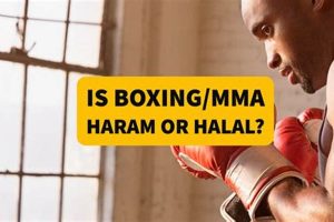 Is MMA Haram? A Muslim's Guide | Ultimate Guide to MMA: Training, Techniques, and Top Fighters in The World