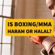 Is MMA Haram? A Muslim's Guide | Ultimate Guide to MMA: Training, Techniques, and Top Fighters in The World