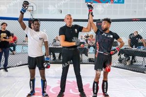 Mma French Ultimate Guide to MMA: Training, Techniques, and Top Fighters in The World Mma French | Ultimate Guide to MMA: Training, Techniques, and Top Fighters in The World